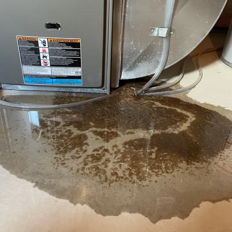 Appliance Leak Cleanup in Eastover, NC